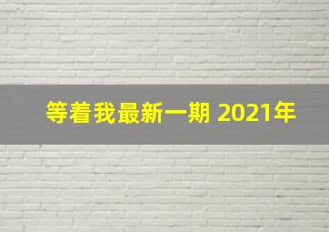 等着我最新一期 2021年